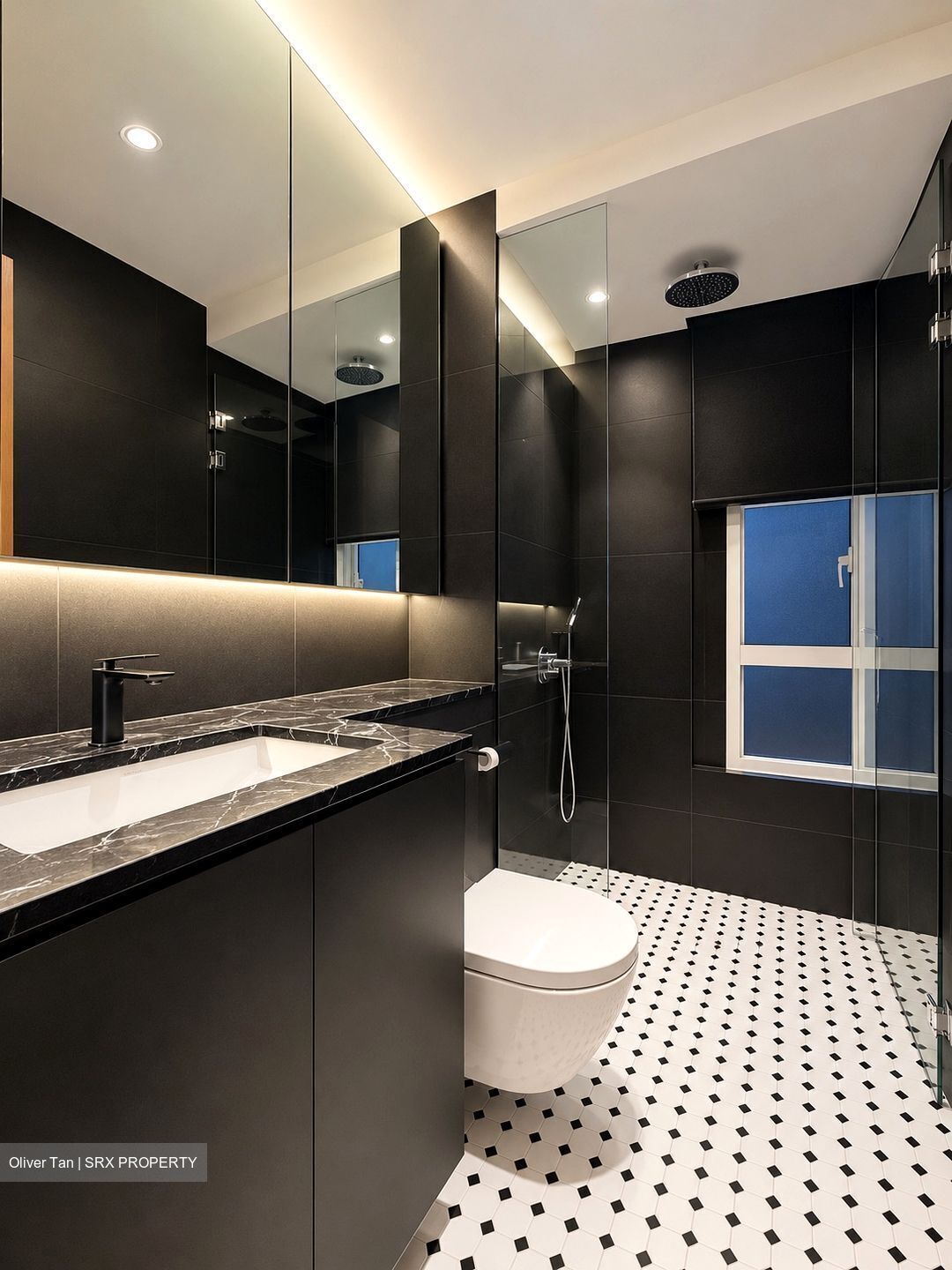 The Sea View (D15), Condominium #627072071